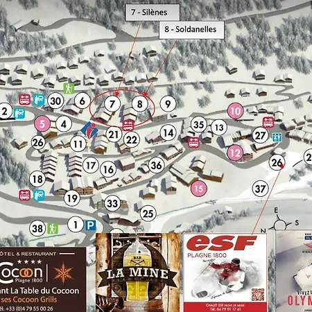 Les Silenes & Soldanelle * La Plagne